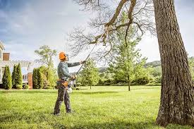 Best Lawn Watering Services  in Alamo, CA